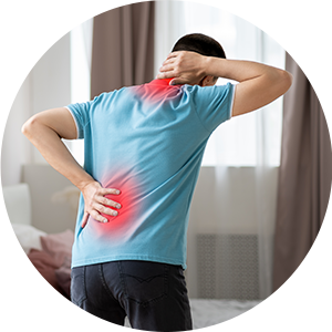 예측 불가능한 고양이 사고, 미리 대비하세요