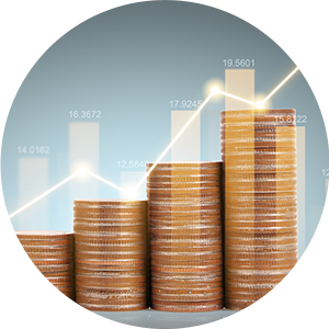 고양이 치료비, 예상보다 훨씬 클 수 있어요