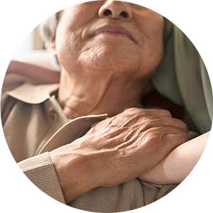 나이 들어가는 고양이, 노후 건강도 안심