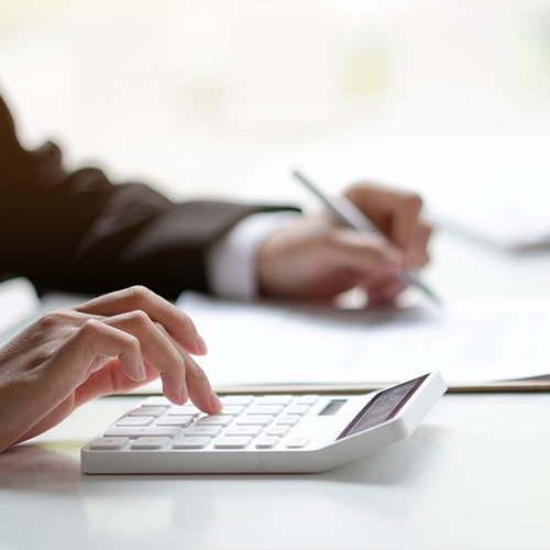 우리 고양이의 예상 보험료는?