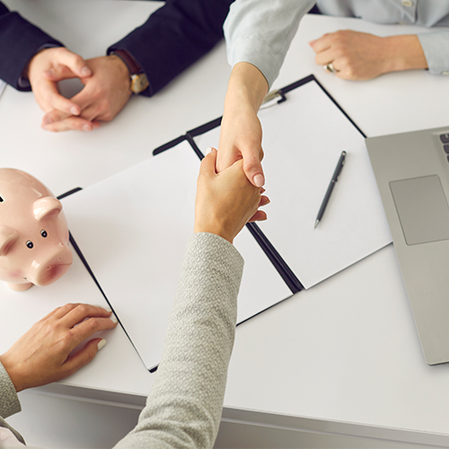 고양이 펫보험, 회사별 보험료 비교하기